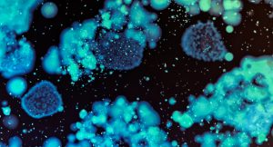 Arxada’s 360-Degree Approach to Microbial Control: A Comprehensive Framework for a Changing Industry